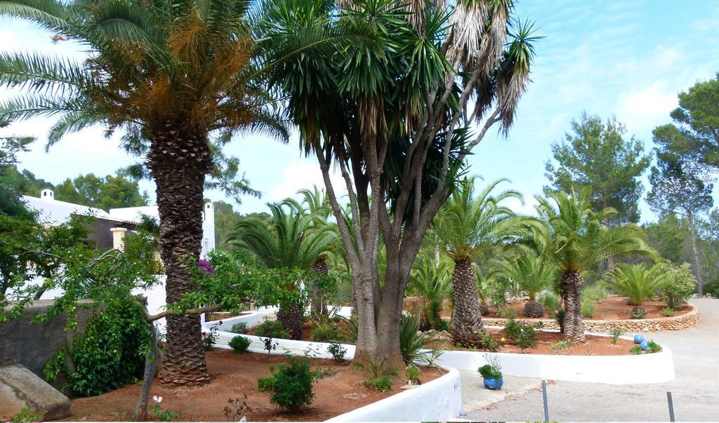 Hacienda Encanto Del Rio Playa DPlaya Des Figueral エクステリア 写真